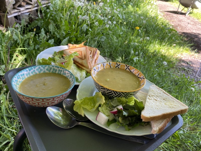 Grangetown Kitchen Garden